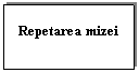 Text Box: Repetarea mizei

